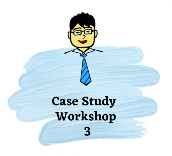 Case Study Workshop 3 | Economics Tuition Online
