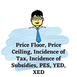 PES, XED, YED, Price Controls, Consumer Surplus, Producer Surplus | Economics Tuition Online